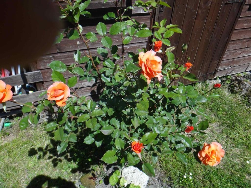 Chez Mamie Et Papi Bed & Breakfast Puynormand Exterior photo